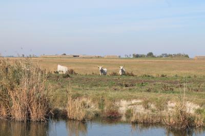 Magyar Camino.2010.10.04.2.szakasz